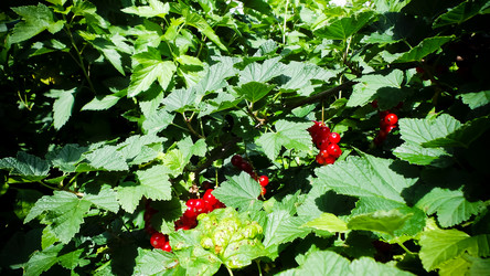 Similar image 21817221