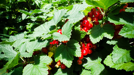 Similar image 21817222