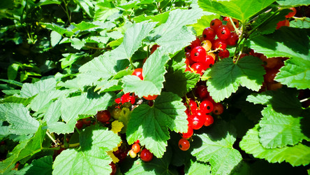 Similar image 21817223