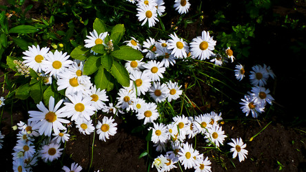 Similar image 21817224