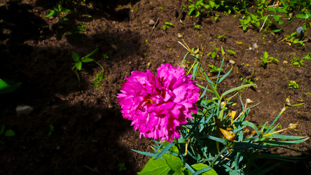 Similar image 21817226