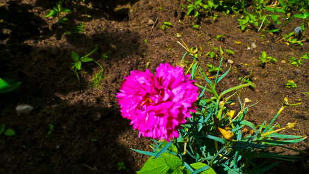 Similar image 21817227