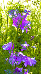 Similar image 21817229