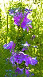 Similar image 21817230