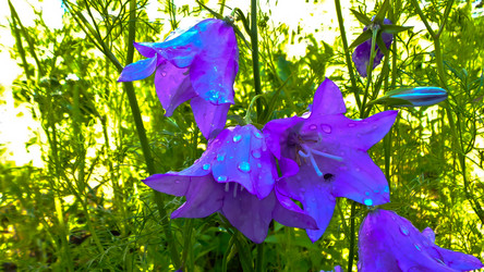 Similar image 21817231