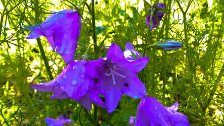 Similar image 21817232