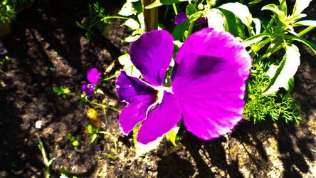 Similar image 21817233