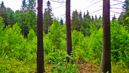 Similar image 21817234