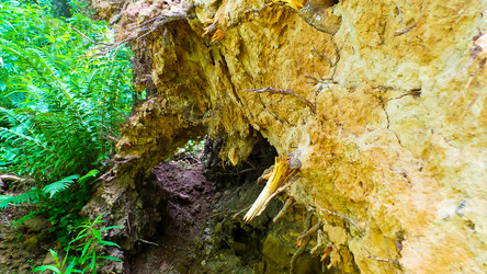 Similar image 21817237