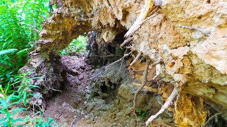 Similar image 21817239