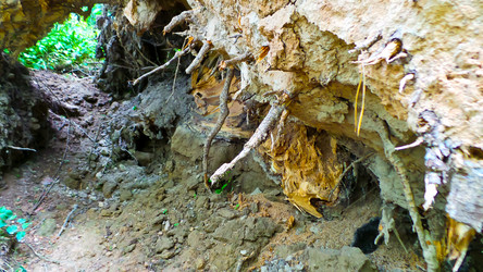 Similar image 21817240