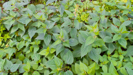 Similar image 21817381