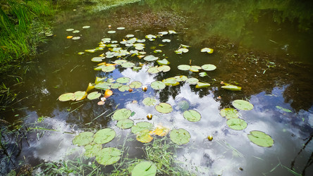 Similar image 21817383