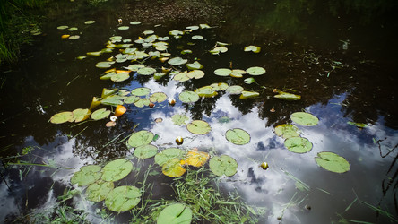 Similar image 21817384