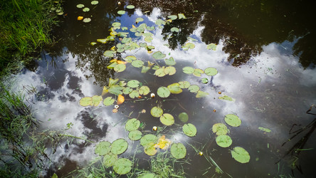 Similar image 21817385