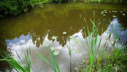 Similar image 21817387