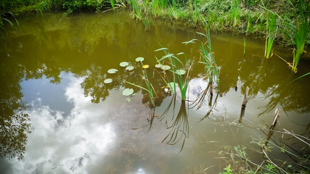 Similar image 21817389