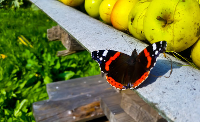 Similar image 21817391