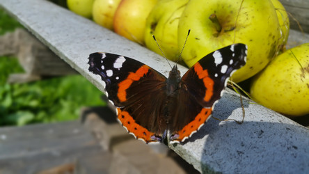 Similar image 21817392