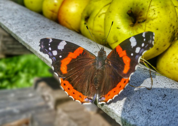 Similar image 21817393