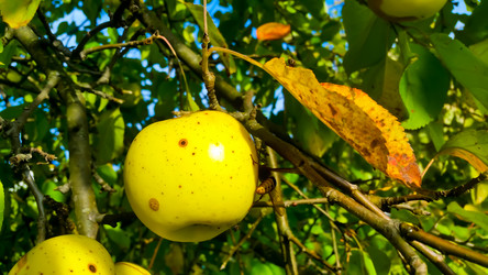 Similar image 21817394