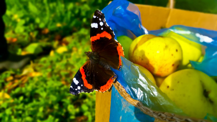 Similar image 21817395