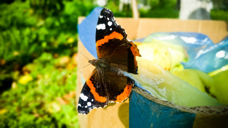 Similar image 21817396