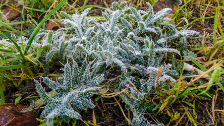 Similar image 21817397