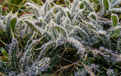 Similar image 21817398