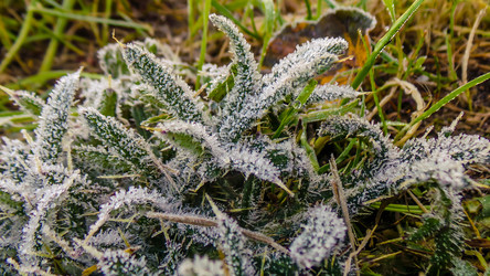 Similar image 21817399