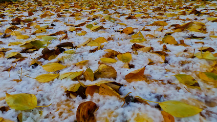 Similar image 21817400