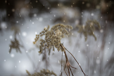 Similar image 21816506