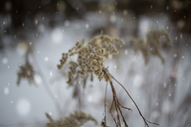 Similar image 21816507