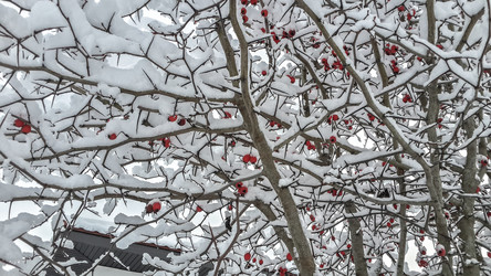 Similar image 21824702