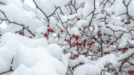 Similar image 21824703