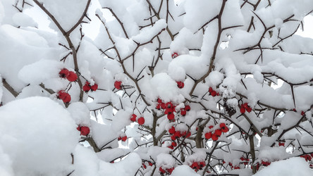 Similar image 21824705