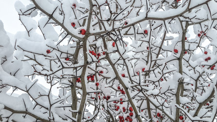 Similar image 21824706