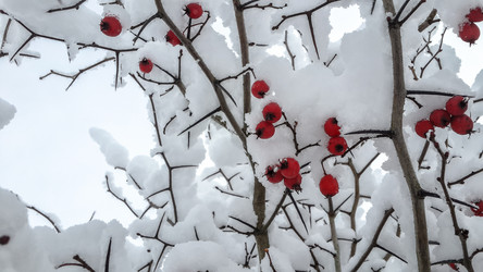 Similar image 21824707