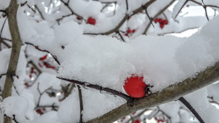 Similar image 21824708