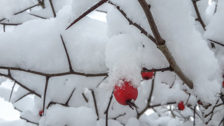 Similar image 21824709