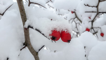 Similar image 21824710