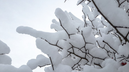 Similar image 21824711