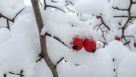 Similar image 21824712