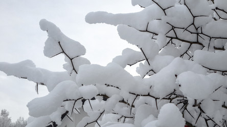 Similar image 21824713