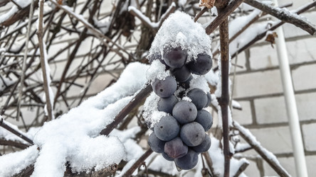 Similar image 21824714