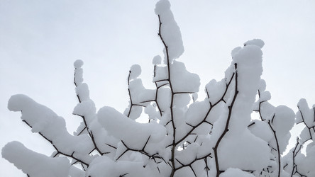 Similar image 21824715