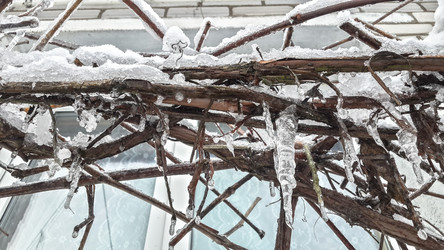 Similar image 21824716