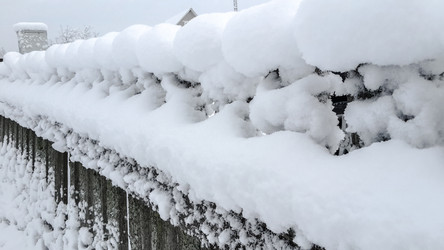 Similar image 21824717