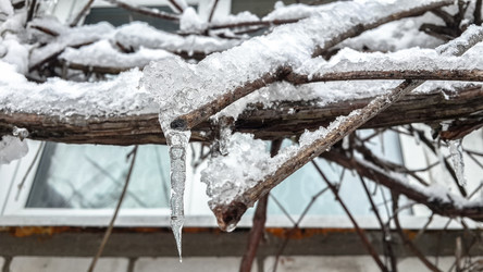 Similar image 21824718