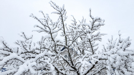 Similar image 21824720